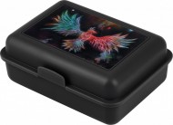 BAAGL Box na svainu Fnix - zvtit obrzek