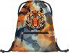 BAAGL koln sek Tiger