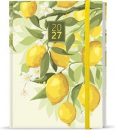 Denn� di�� - Adam - Lamino - B6 - Citron