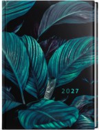 Denn� di�� - Goli� - Lamino - A4 - Tropic