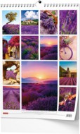 N�st�nn� kalend�� - Provence - A3
