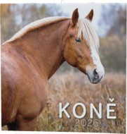Nstnn kalend - Kon - zvtit obrzek