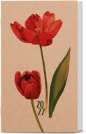 T�denn� di�� - Alois - kraft - Tulip�n