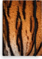 T�denn� di�� - Prokop - Lamino - B6 - Tygr - zv�t�it obr�zek