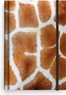 T�denn� di�� - Prokop - Lamino - B6 - �irafa - zv�t�it obr�zek