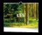 N�st�nn� kalend�� - Les