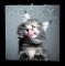 N�st�nn� kalend�� - Ko�ky