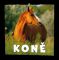 N�st�nn� kalend�� - Kon�