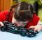 LEGO TECHNIC Auto Mercedes-AMG F1 W14 42165 STAVEB