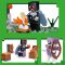 LEGO MINECRAFT Bled� zahrada 21586 STAVEBNICE
