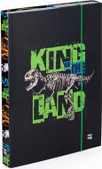 Box na seity A4 Premium Dinosaurus