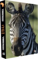Box na seity A4 Jumbo Zebra 76923