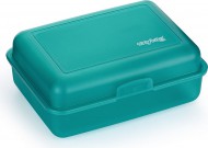 Box na svainu mintov-mat