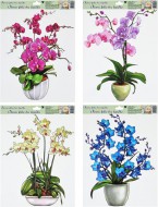Okenn flie 887 orchideje 