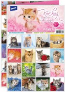 Pexeso 3xA4 Koky 5300893 - zvtit obrzek