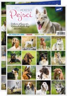 Pexeso 3xA4 Pejsci 5300902 - zvtit obrzek