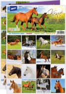 Pexeso 3xA4 Kon 5300904