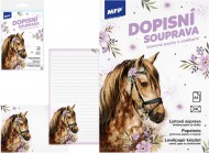 Dopisn papr barevn LUX 5+10 (K) 