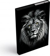 Desky na se�ity box A5 Lev 8021152 - zv�t�it obr�zek