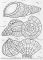omalovnky antistresov Zzraky ocenu 210x290mm/3
