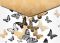 slo�ka M druk A4 PP potisk mix �.4 5370554