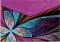 slo�ka M druk A4 PP potisk mix �.4 5370554