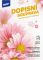 dopisn papr barevn LUX 5+10 (Kvty) 5550333