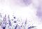 dopisn� ob�lka C5 170g/m2 barevn� (mix) 5550405
