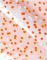s��ek 20x32 New Point 5800770