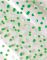 s��ek 20x32 New Point 5800770