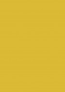 Barevn papr 170G 50X65 25 list, zlat lut barevn papr
