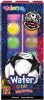 Vodov� barvy se �t�tcem, 12 barev - Fotbal