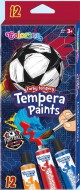 Temperov barvy, 12 barev - Fotbal