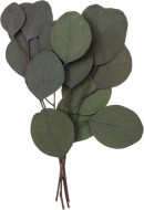 Pzdoba Eukalyptus NATURE 18cm/4ks, suen - zvtit obrzek