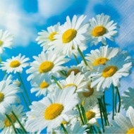 Ubrousky celoron Sun Daisies, 33 x 33 cm