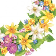 Ubrousky celoro�n� SDWI 0091 01