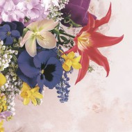 Ubrousky celoro�n� SDWI 0092 01