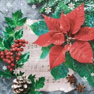 Ubrousky vnon SL GW 027301