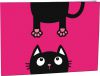 Desky na slice Crazy Kitten