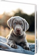 Pam�tn�k A5 13 x 18 cm �ist� Pup