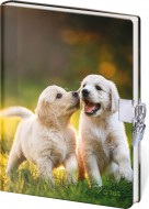 Pam�tn�k 13 x 18 cm se z�mkem - Fun