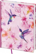 Denn� di�� B6 Vario Lyra Colibri