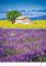 Kalend�� Provence