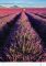 Kalend�� Provence