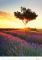 Kalend�� Provence