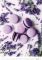 Kalend�� Provence