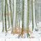 Kalend�� Les