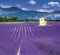 Kalend�� Provence - v�zanka