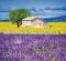 Kalend�� Provence - v�zanka
