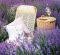 Kalend�� Provence - v�zanka